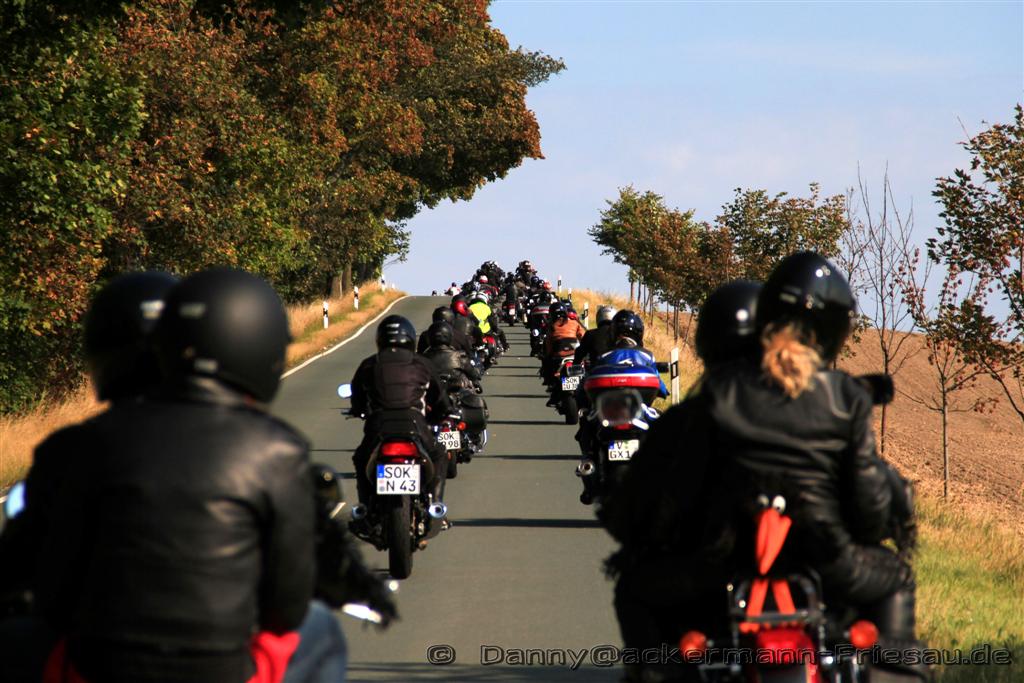 IMG_4852 (Large)